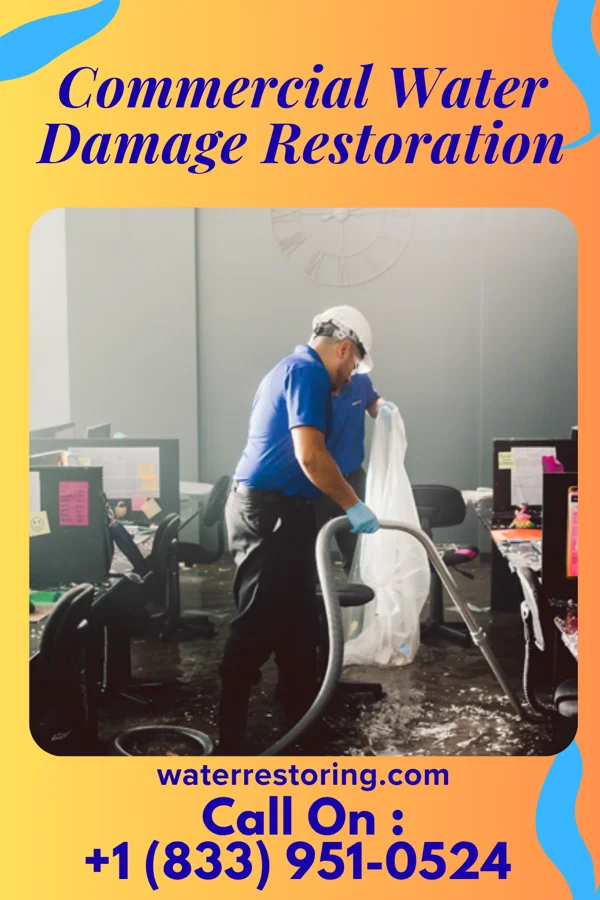 Commercial Water Damage Restoration in Wewoka, OK